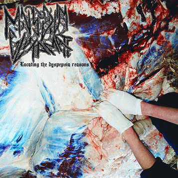 Locating the Dyspepsia Reasons